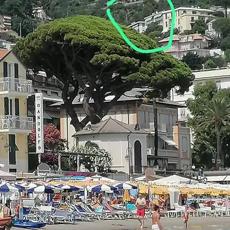 Fiori D'alassio - Ampie Con Terrazza E Parcheggio Alassio
